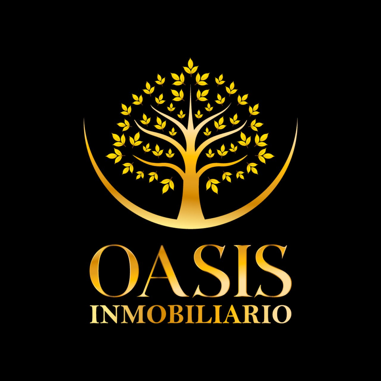 Logo de Oasis Inmobiliario